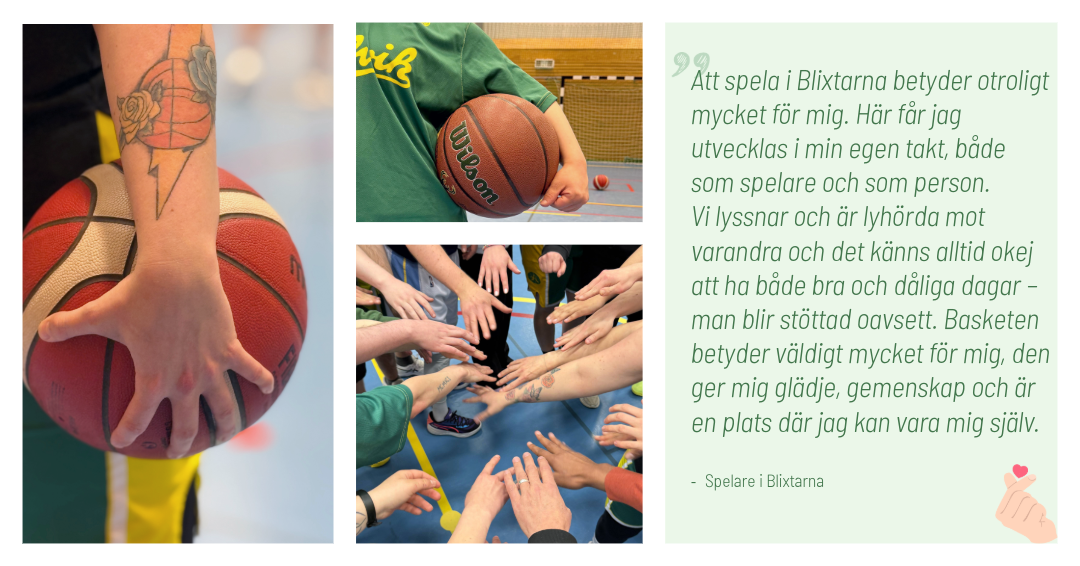 Kollage med bilder och citat från Alvik BAsket