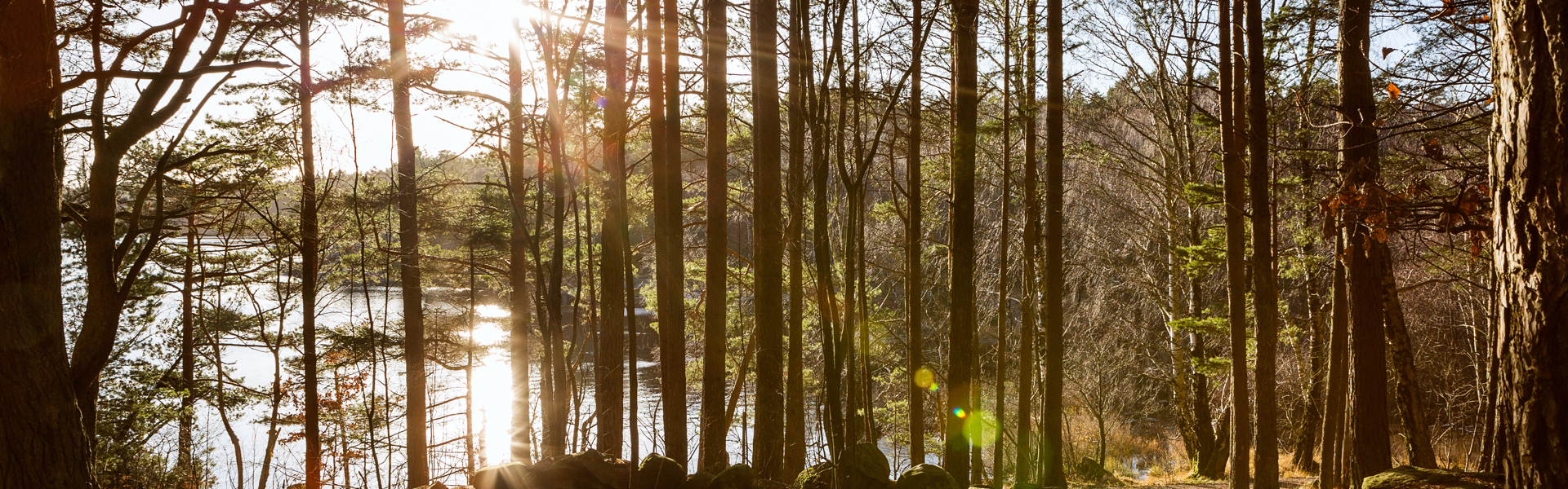 Naturen nära Askegården