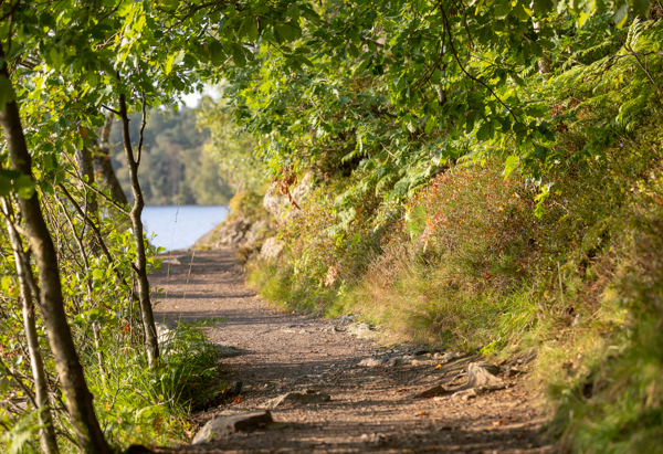 Många fina promenadstråk runtomkring i Askim